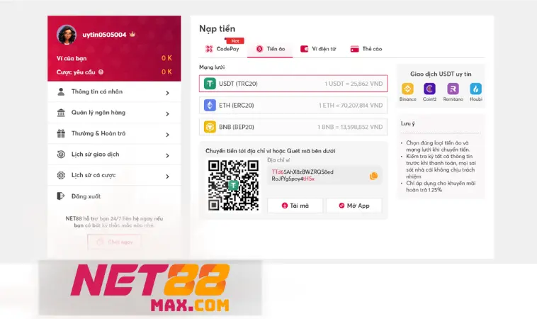 Nạp tiền Net88 lâu lên điểm phải làm sao? Nạp tiền Net88 lâu lên điểm phải làm sao?